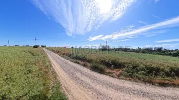 Teren Intravilan Construibil pe Malul Lacului – Balotești, Strada Lacului - imagine 5