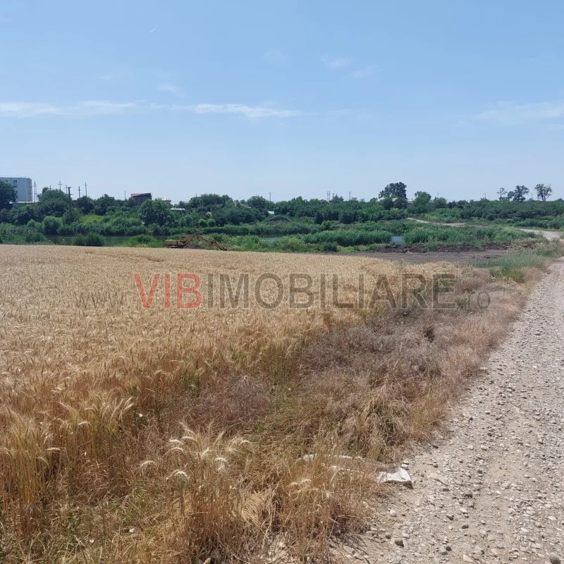 Balotesti - teren 4000 mp cu deschidere la lac - imagine 1