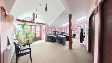 Unirii - Parcul Carol - Str Gramont - Birouri - 5 camere - mobilate/utilate- centrala proprie - imagine 12