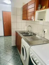 Studio - Circului - Parc - Stefan Cel Mare - Tei - imagine 5