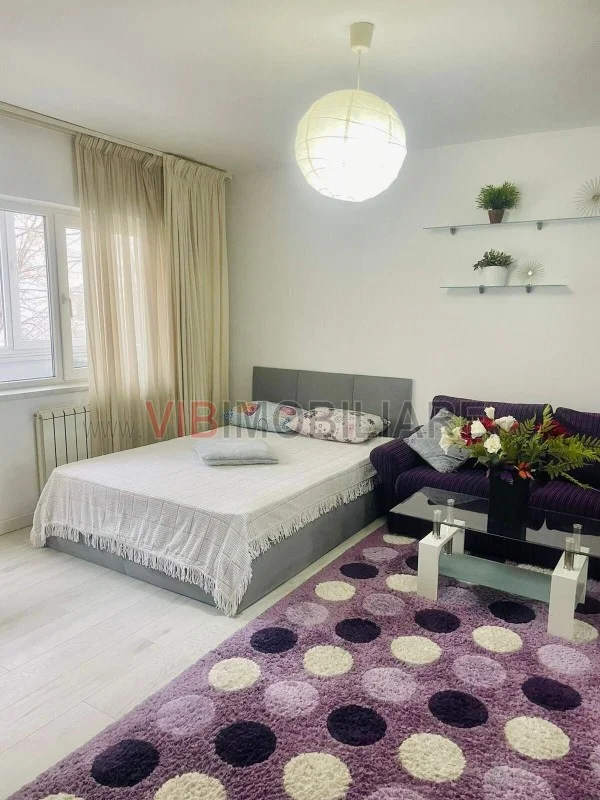 Studio - Circului - Parc - Stefan Cel Mare - Tei - imagine 1