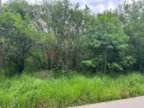 Dragomiresti Deal – Strada Pinului - imagine 2