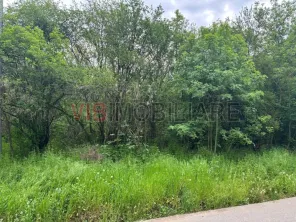 Dragomiresti Deal – Strada Pinului - imagine 2