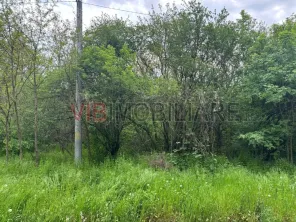 Dragomiresti Deal – Strada Pinului - imagine 4