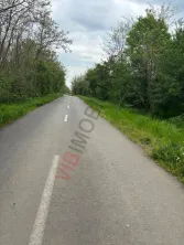 Dragomiresti Deal – Strada Pinului - imagine 5