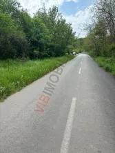 Dragomiresti Deal – Strada Pinului - imagine 3