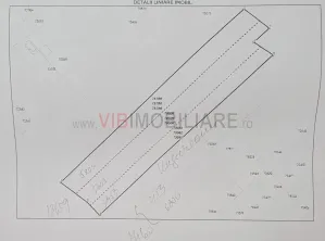 Racari - Teren - 13659 mp - intravilan - constructii - imagine 5