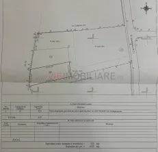 Corbeanca - Tamasi - str Trandafirului - teren 523 mp cu deschidere 13,50 mp - imagine 7