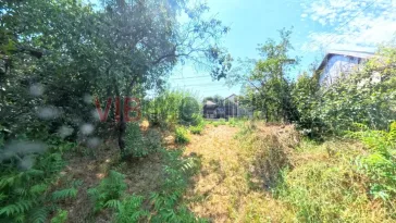 Racari - str Republicii - teren 750mp - deschidere 18,50 ml - imagine 3