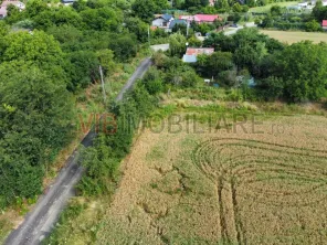 Teren Gruiu - 5000 mp - doua deschideri - intravilan - imagine 3