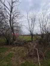 Jilava - Centura Bucuresti - teren intravilan 423 mp - imagine 5