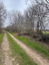 Jilava - Centura Bucuresti - teren intravilan 423 mp - imagine 4