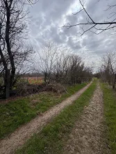 Jilava - Centura Bucuresti - teren intravilan 423 mp - imagine 7