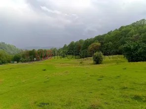 Teren de vanzare Breaza – Nistoresti, Str. Muresului