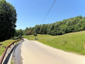 Teren generos cu aer curat si liniste deplina in Breaza - imagine 5
